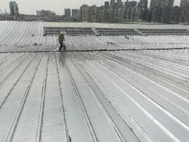 文章插图